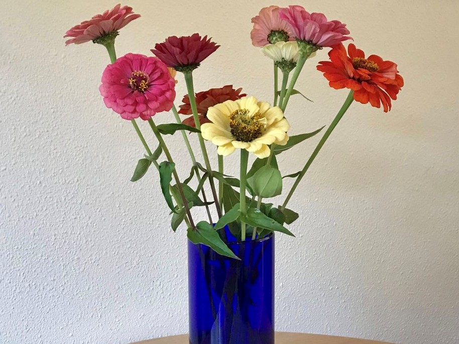 Bloemen maken blij