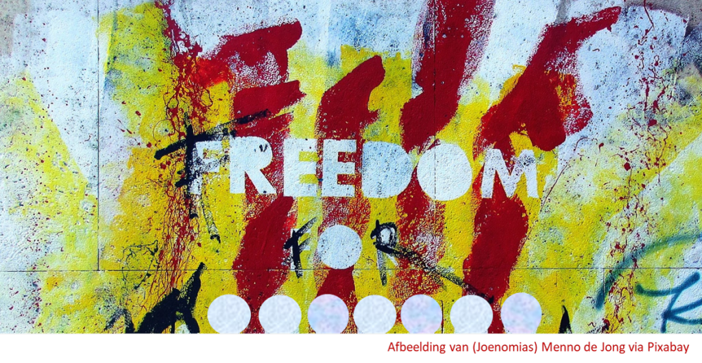 Het waagstuk van de politiek of zorg? - Spinnenweb Teksten